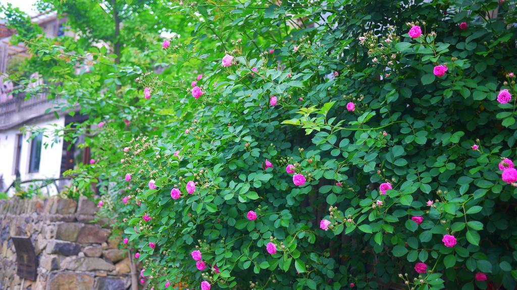 Moganshan Bamboo View Guesthouse Deqing Екстериор снимка