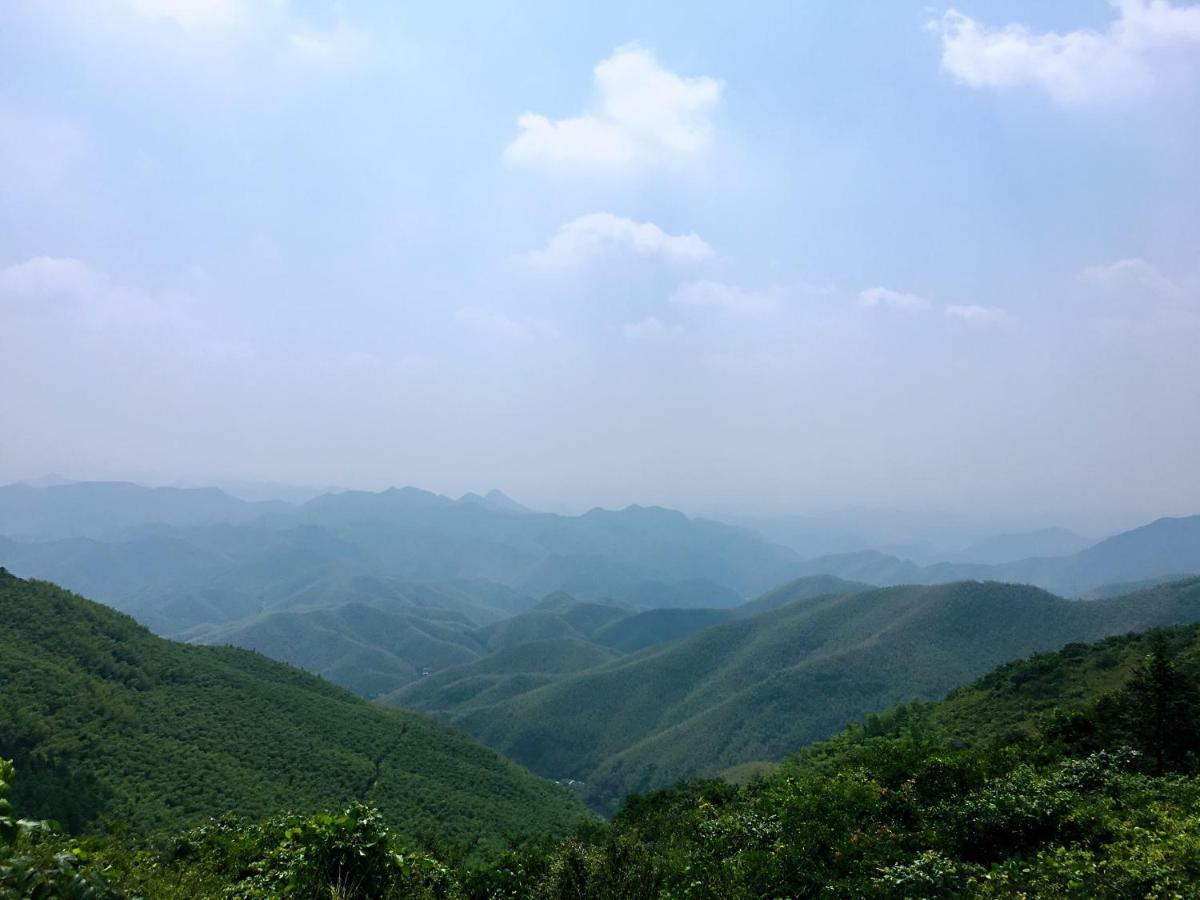 Moganshan Bamboo View Guesthouse Deqing Екстериор снимка